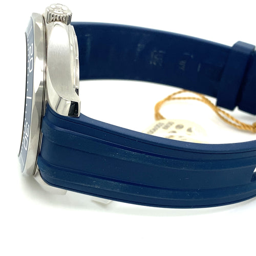 Omega Seamaster Diver 300M Co-Axil Master Chronometer 42mm - 210.32.42.20.06.001