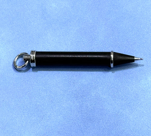 Authentic Patek Philippe 18k White Gold Watch Pin Pusher Setting Tool Stylus