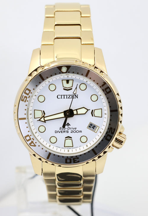 Citizen Eco-Drive 36.5mm Promaster Dive Watch, EO2029-54A, Box/Card