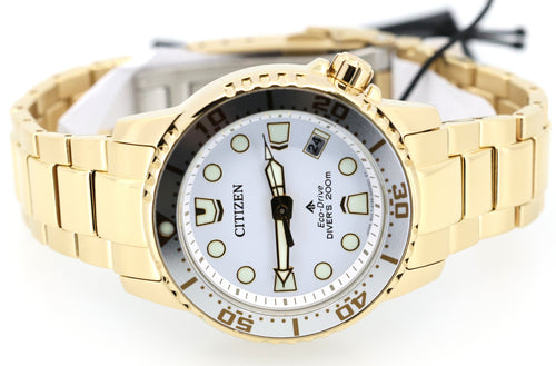 Citizen Eco-Drive 36.5mm Promaster Dive Watch, EO2029-54A, Box/Card