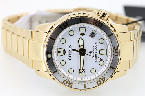 Citizen Eco-Drive 36.5mm Promaster Dive Watch, EO2029-54A, Box/Card