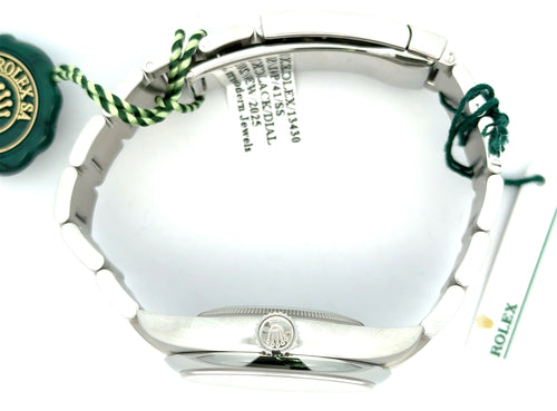 NEW 2025 Rolex Oyster Perpetual 41mm BLACK DIAL Steel Watch 134300, Box/Card