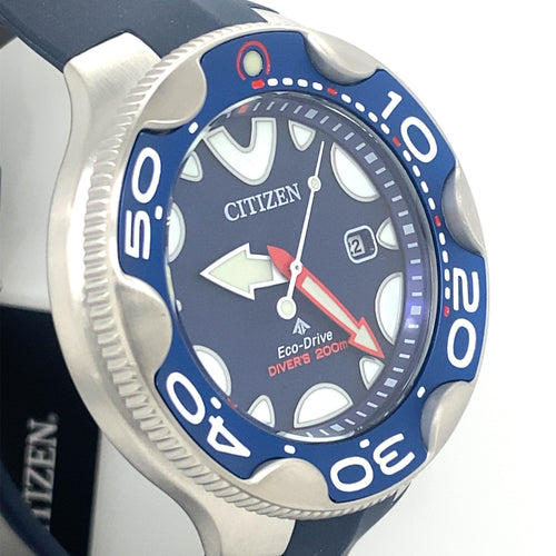 Citizen Promaster Dive Eco Drive 46mm Stainless Steel Watch, BN0231-01L