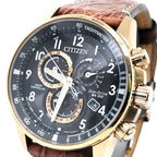 Citizen PCAT Black Dial Eco-Drive Rose Plated Steel 44mm Watch, AT4133-09E